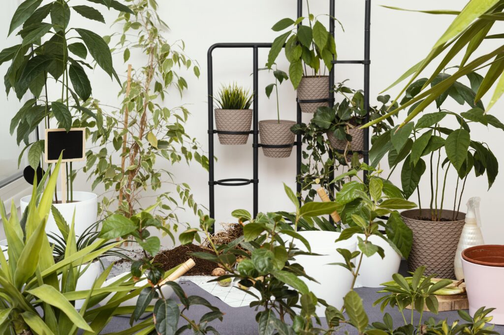 Top Balcony Designs with Built-In Garden Ideas for Apartments